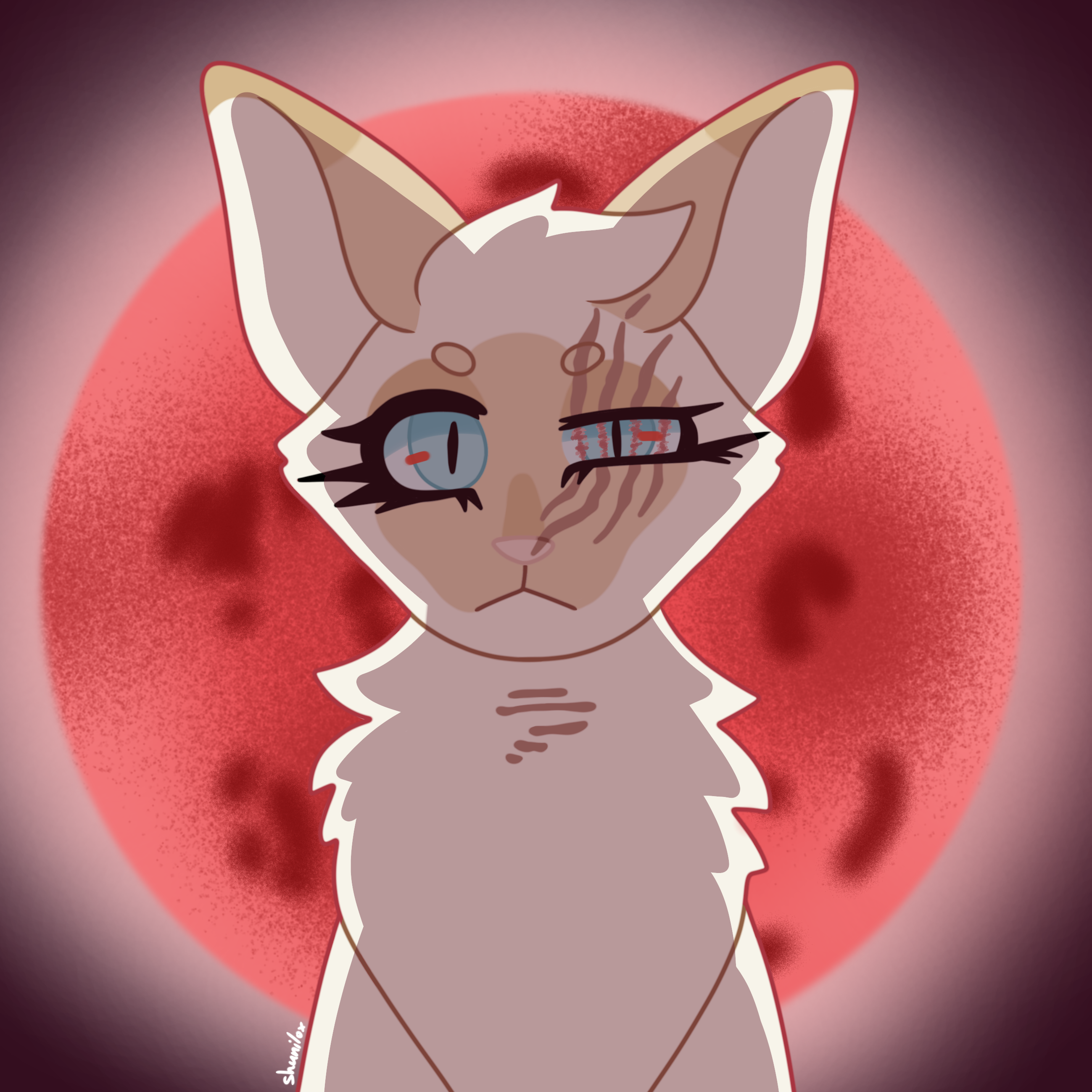 Scarred cat in front of a blood moon