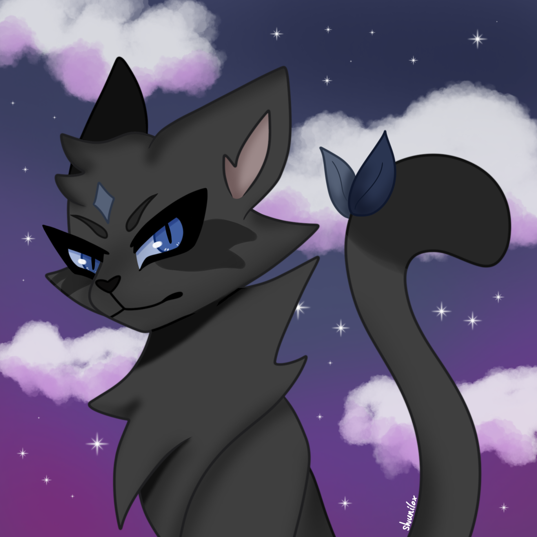 dark cat with background of cloudy sky full of stars